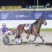 Bonanza for Ballarat trotting breeder