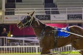 Gear change works wonders on smart filly 1