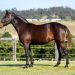 QBRED Reduction Sale Opens the Gate to New Opportunity