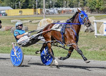 Uundefeated Snowonthepines gets eighth win