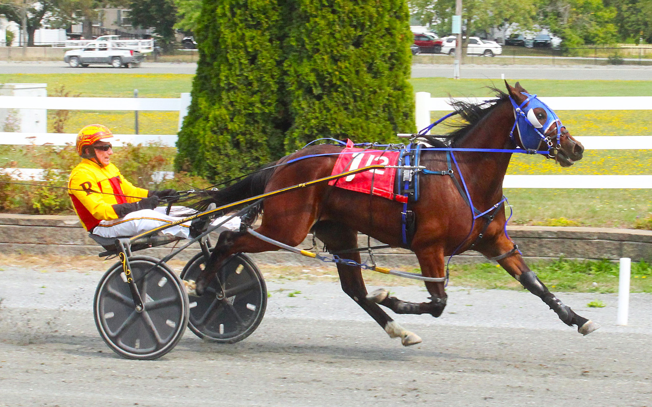 Snowonthepines remains unbeaten with seven in a row 1