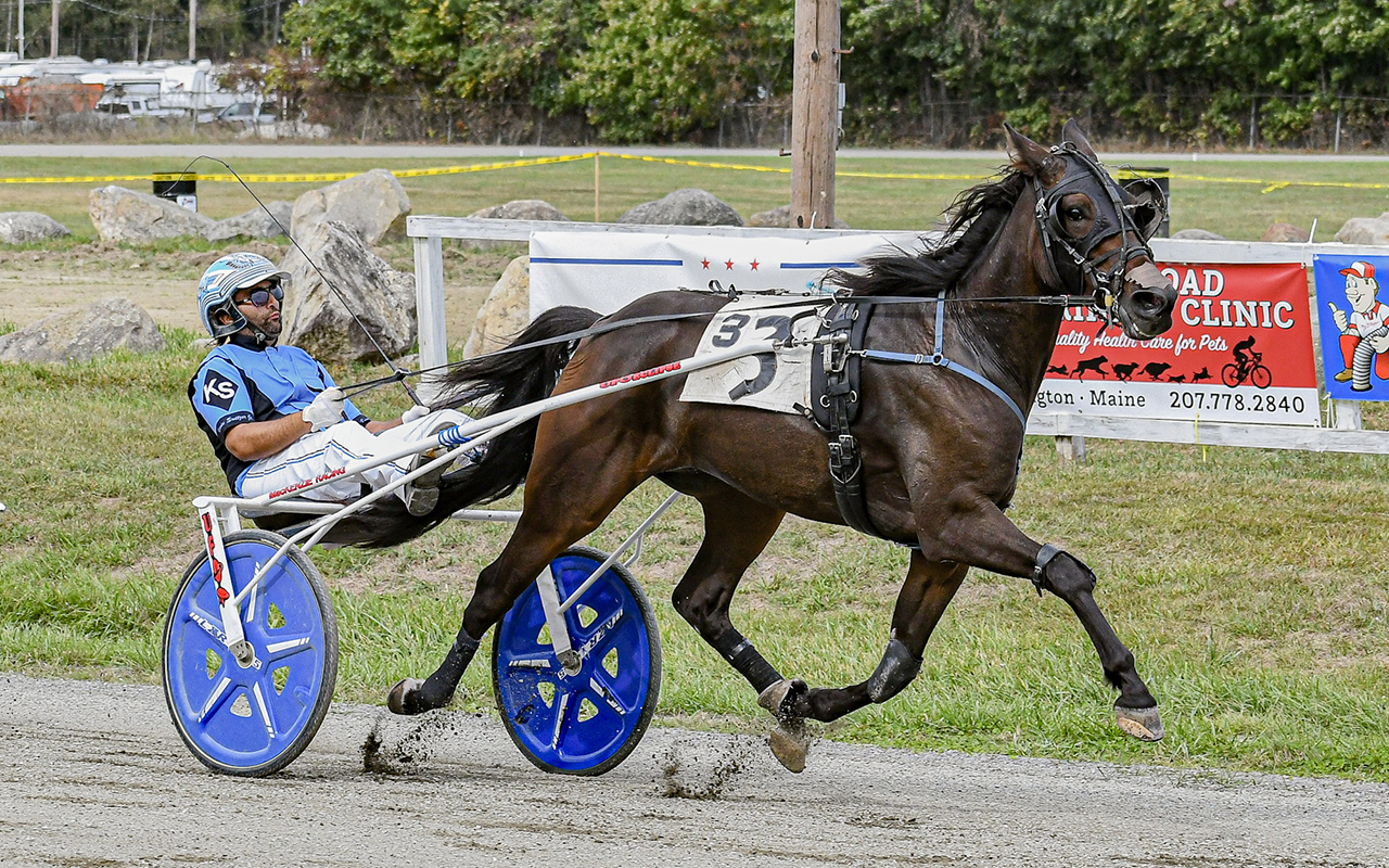 Wildcard, Barbella extend winning streaks in Maine Sire Stakes 1