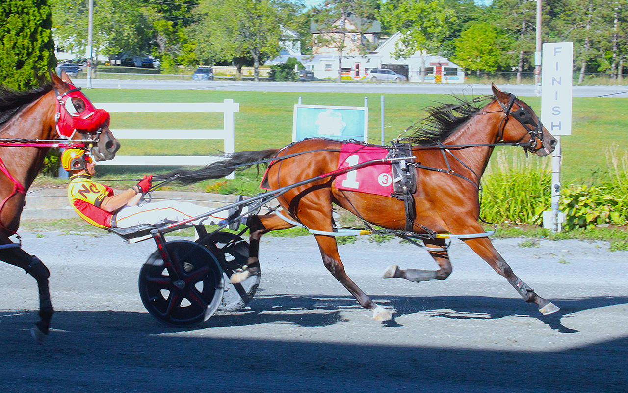 Chasing Dudes sets lifetime best 1