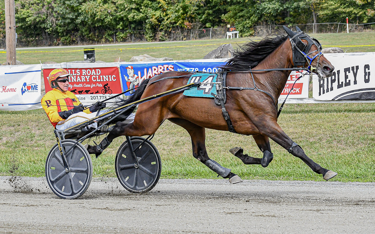 Wildcard, Barbella extend winning streaks in Maine Sire Stakes 2