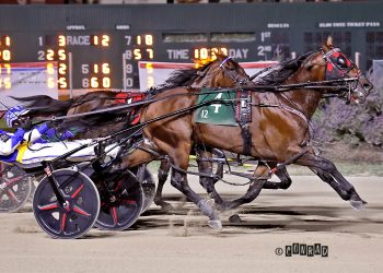 Ervin Hanover edges Captain Albano in Jim Ewart Memorial Pace thriller