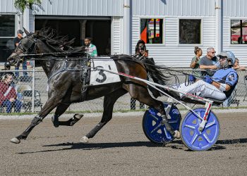 Liberty’s Wildcard, Barbella dominate Friday stakes