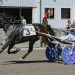 Liberty’s Wildcard, Barbella dominate Friday stakes