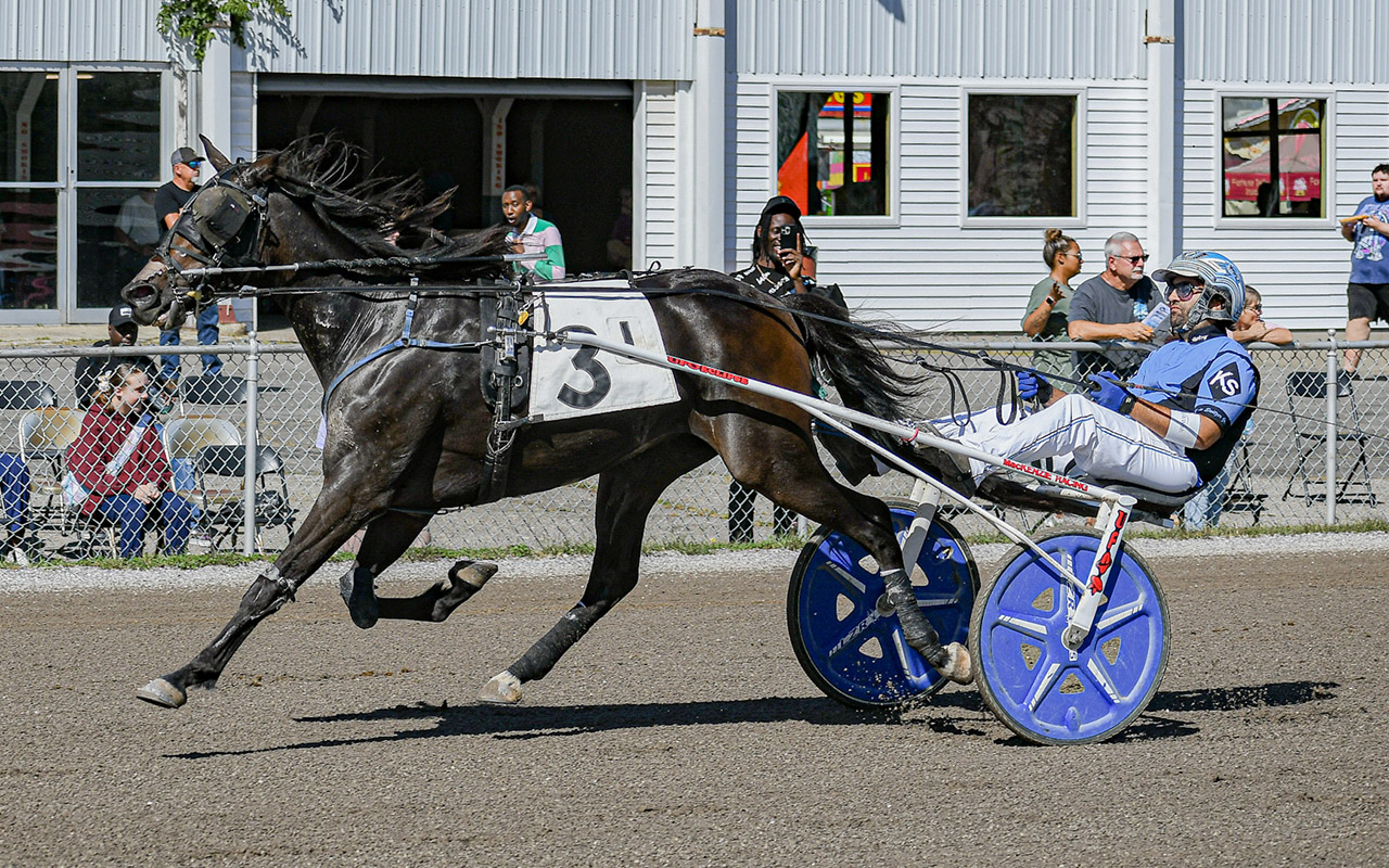 Liberty’s Wildcard, Barbella dominate Friday stakes 1