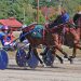 Fern Hill Flight flies in fair finale 2