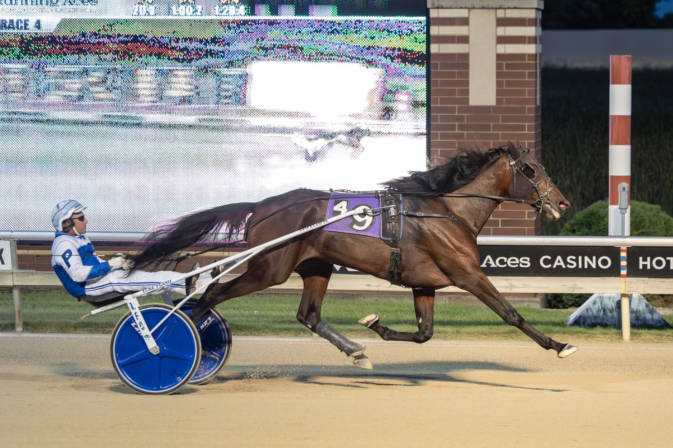 Peanutbutterflacon sets state earnings record with 10th straight win 2