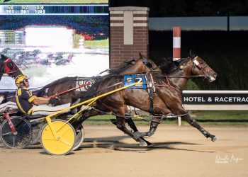Alilthundadownunda storms home a winner in Aces feature pace