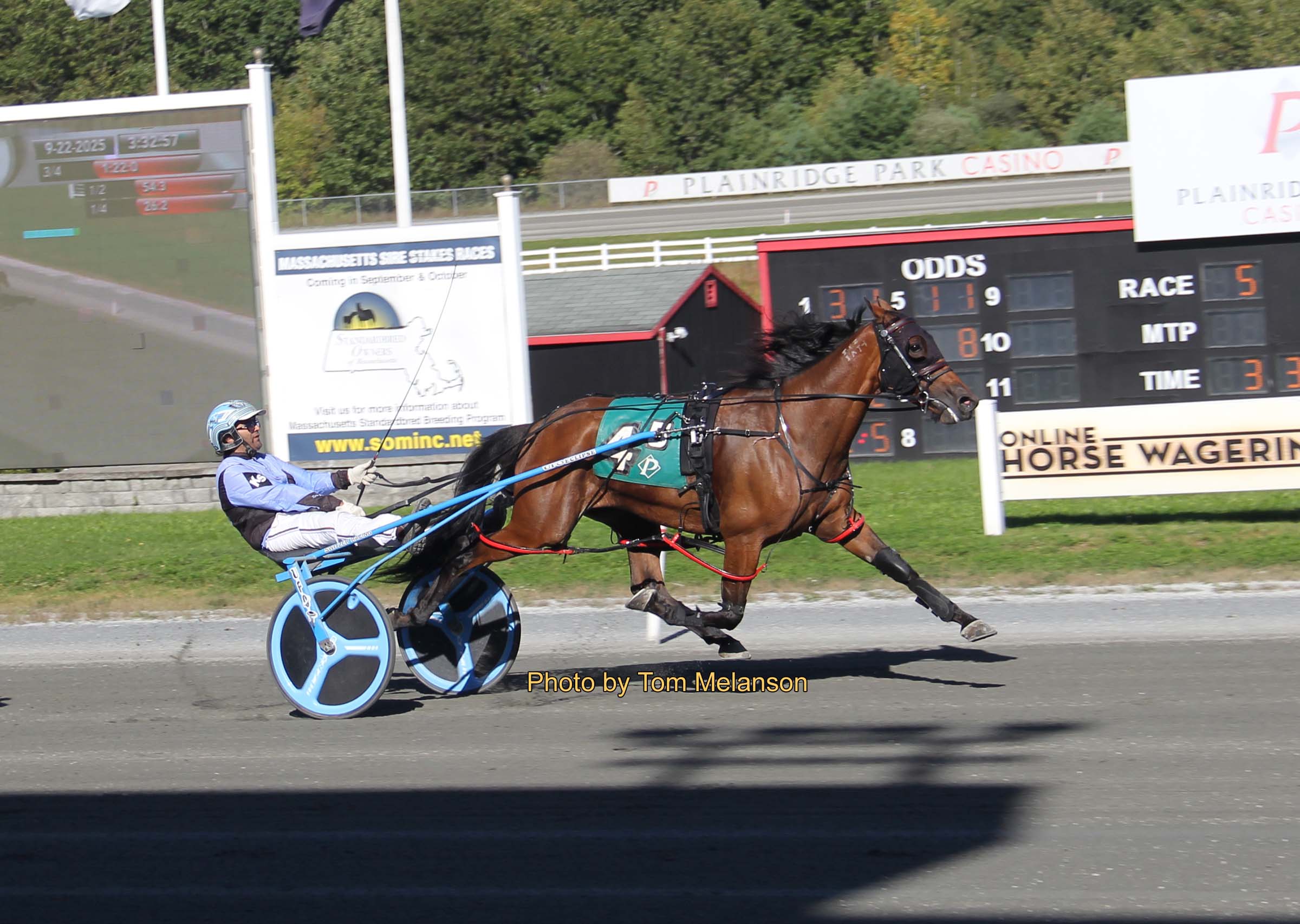 Always Bstunning N, Two Fold Cold win Open paces 1