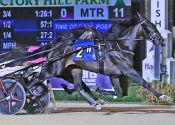 Dexter Dunn and Apex too strong in Peter Haughton Memorial