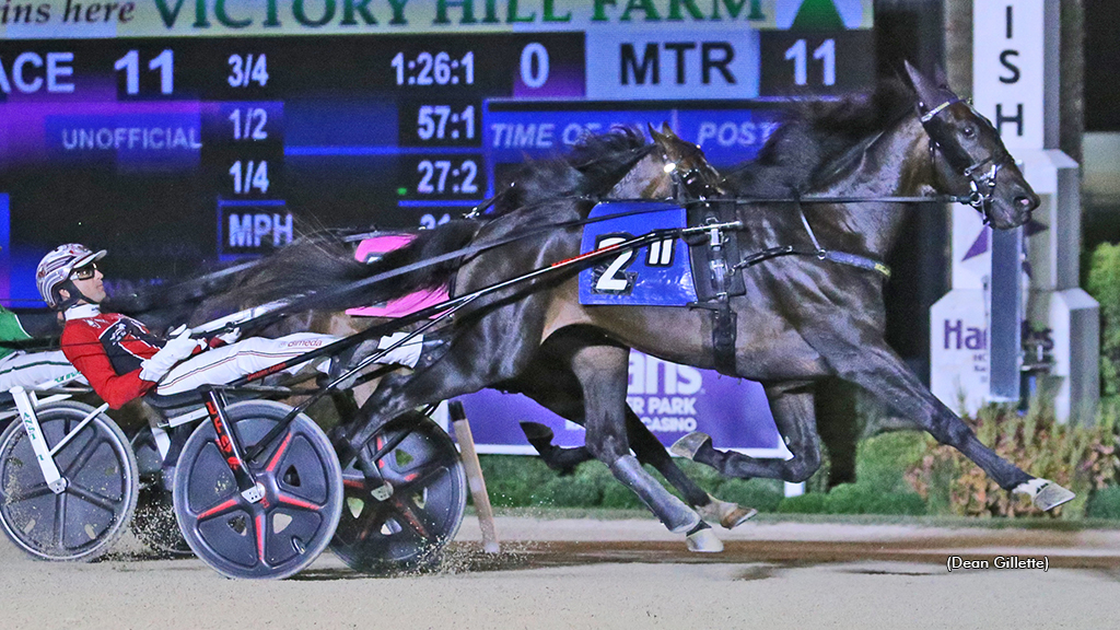 Dexter Dunn and Apex too strong in Peter Haughton Memorial 1