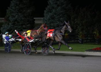 Apex overpowers Endurance in $1,000,000 Mohawk Million