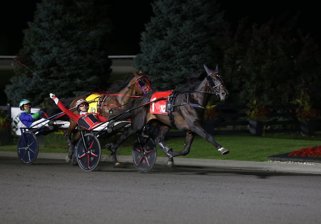 Melander locked and loaded with six Breeders Crown contenders 1