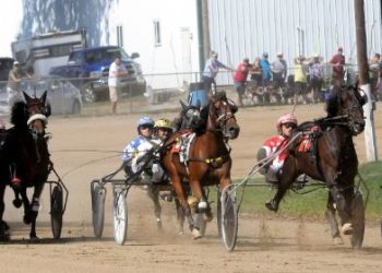 OHHA to Live Stream from Ashland County Fair