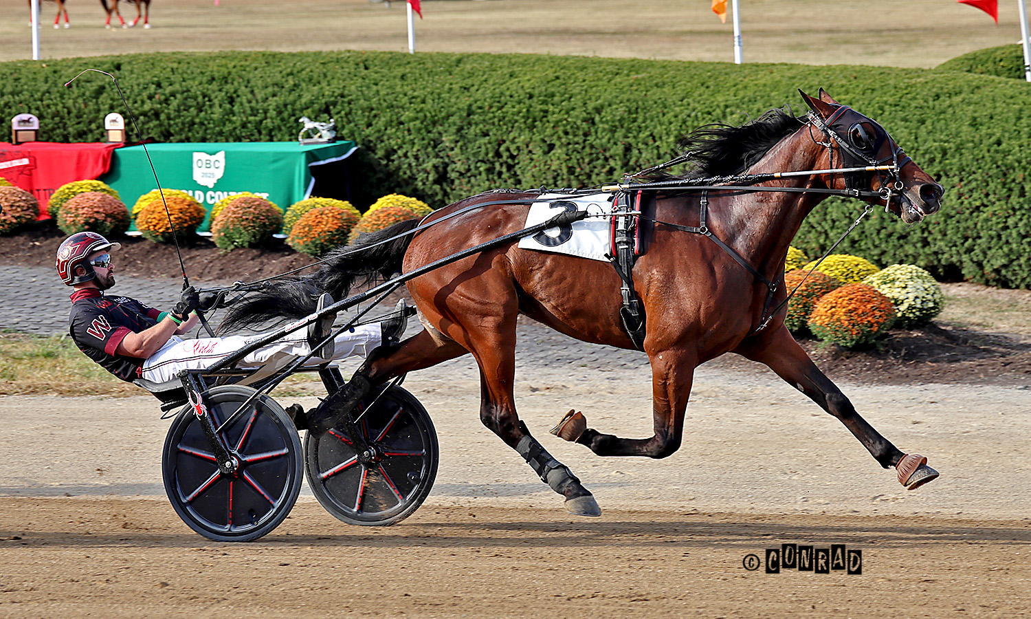 Big Ranger stays perfect in OBC showdown 2