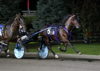 Beau Jangles superb in $1,000,000 Metro Pace