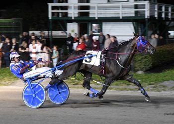 Osez Josselyn leads Arqana Trot Yearling sessions