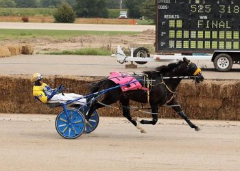 Bet Mine breaks all-time track record