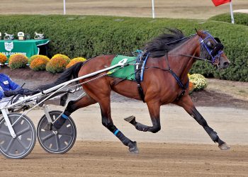 Colt Remains Undefeated with Delaware Win