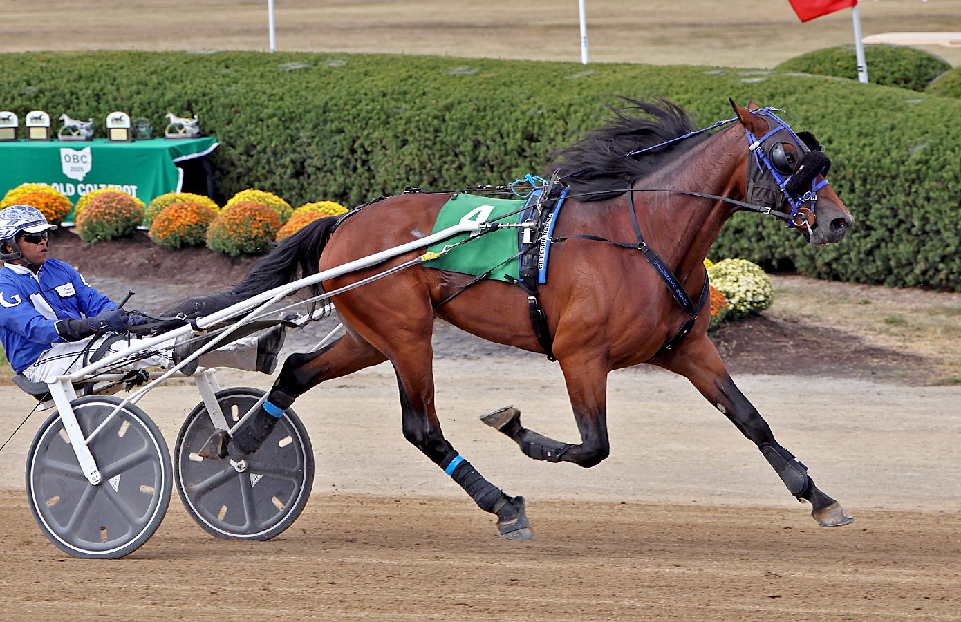 Big Ranger stays perfect in OBC showdown 1