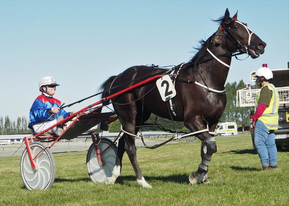 Hall’s a big fan of NZ stock 4