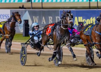 Bogdanavic achieves Riverina success in Breeders Challenge