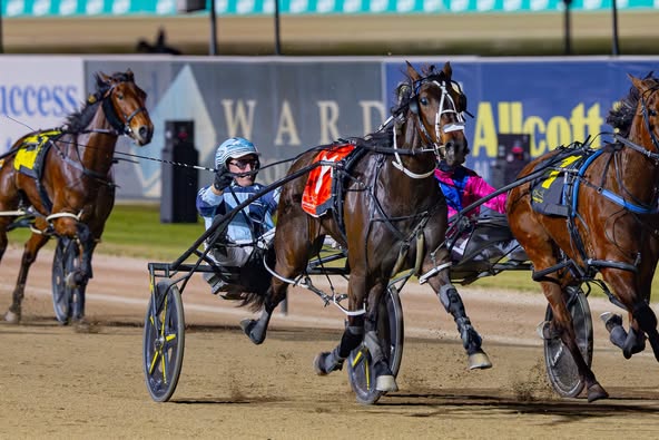 Bogdanavic achieves Riverina success in Breeders Challenge 1