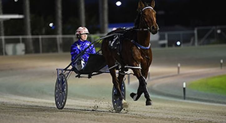 Wilkins aiming for more success tonight 1