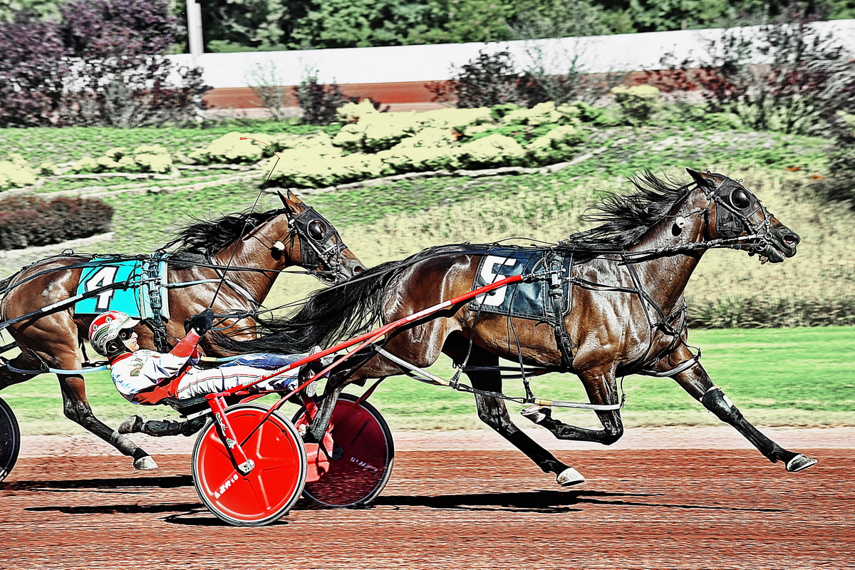 Huntsville sophomore overcomes tough trip 1