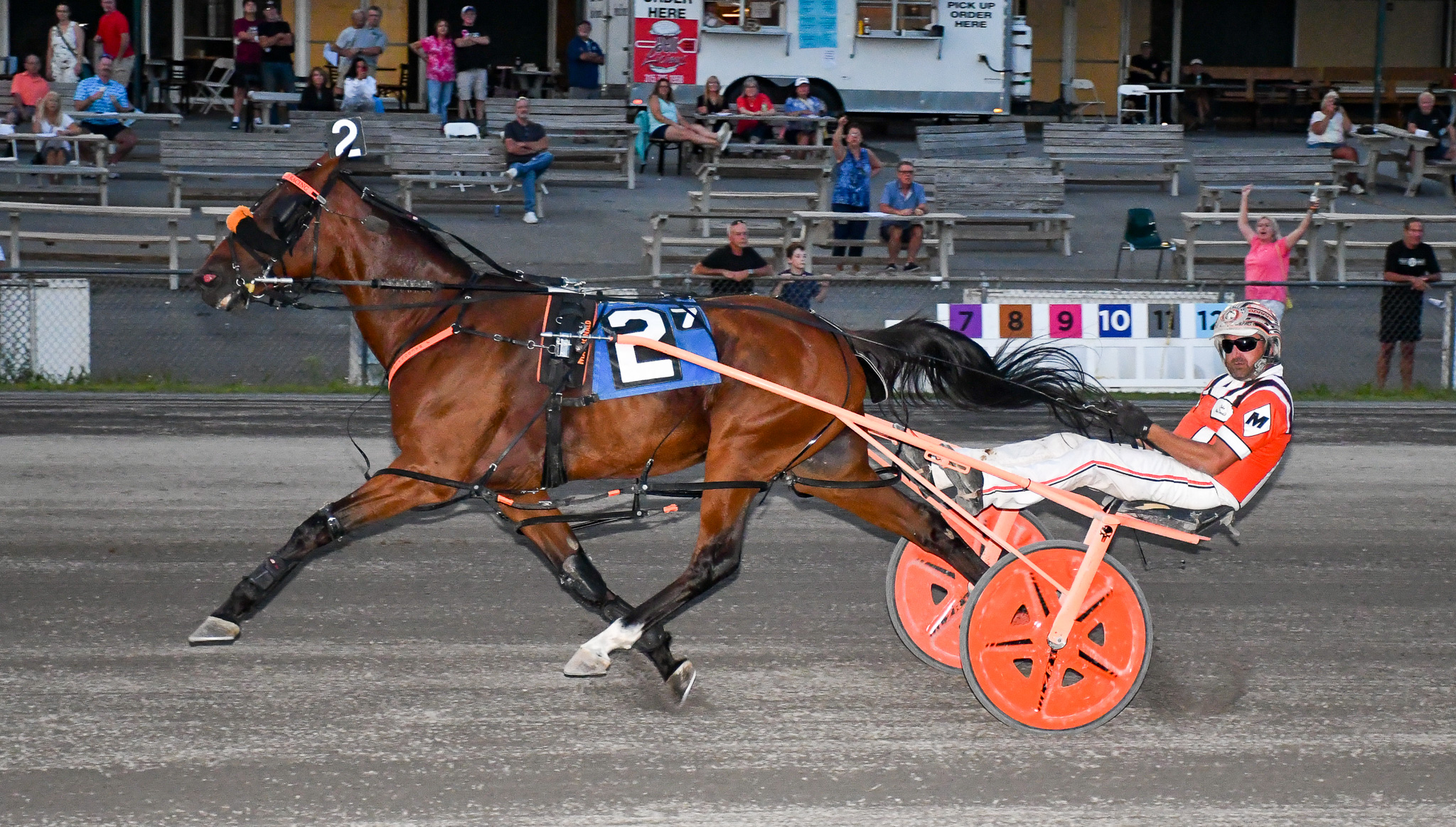 Captaintreacherous gelding takes Open Pace 1