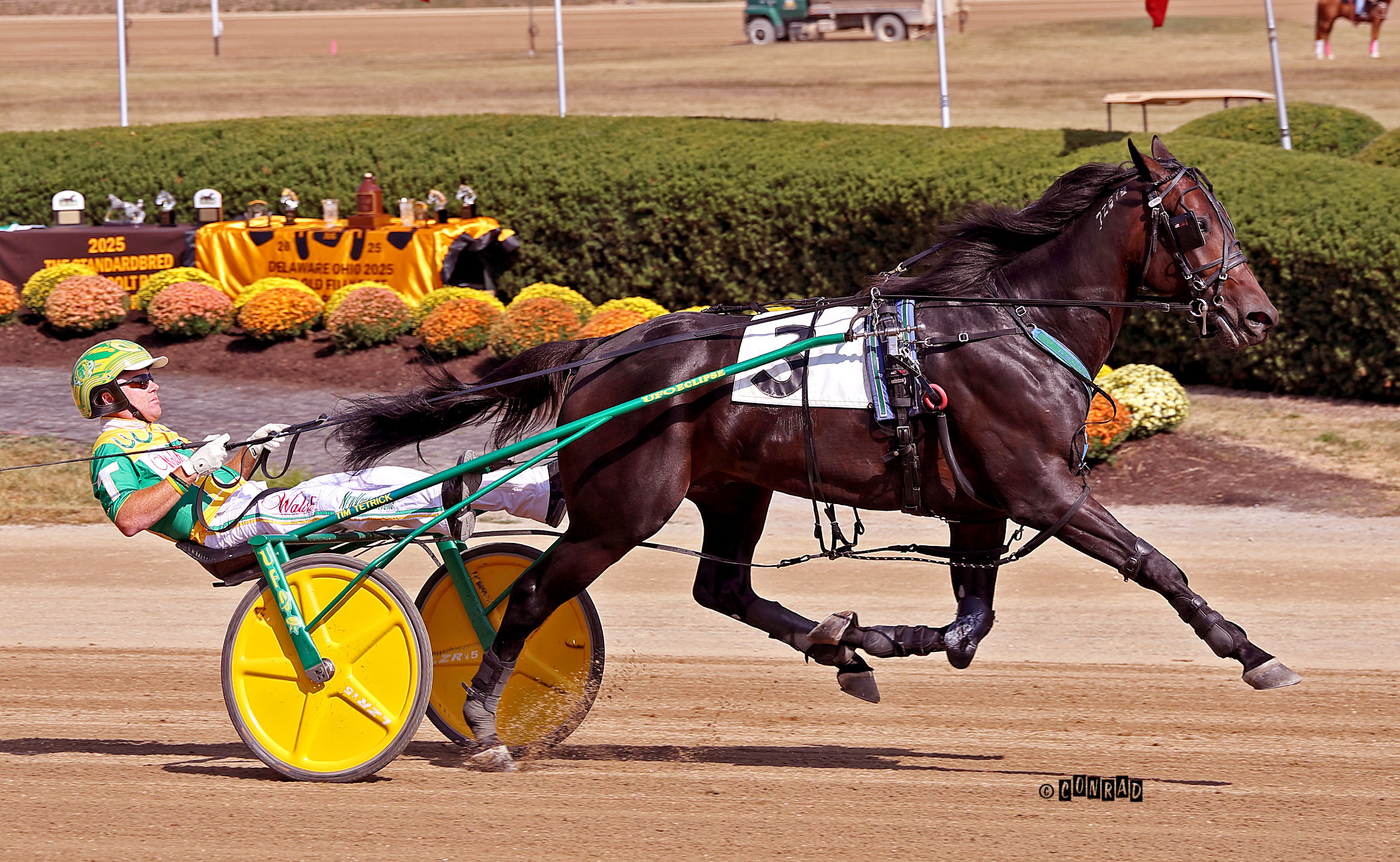 Jugette undercard delivers records and rising stars 2