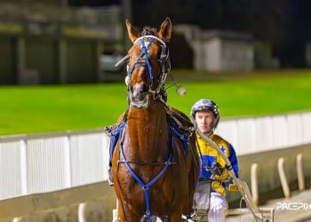 D Mac’s Group 1 Golden Slipper at just his third start