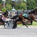Twin B Echo grinds first-over to victory 1 Saratoga Tuesday