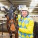 Look Like Diamonds shines at Melton
