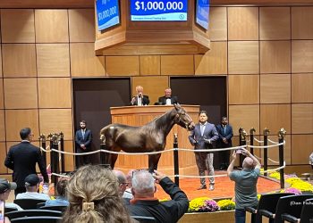 Dejeuner sets record, sells for $1 Million at Lexington