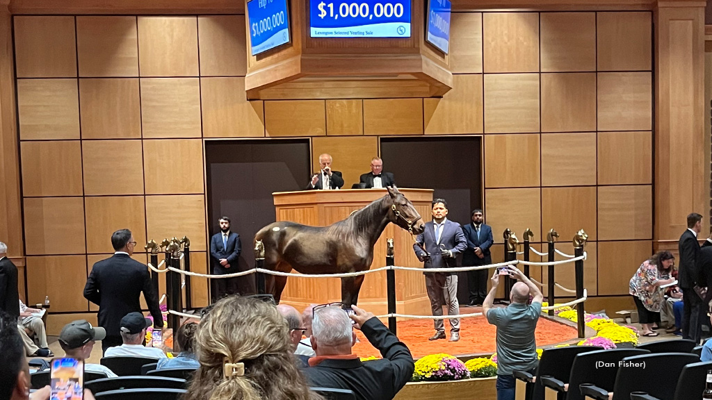 Dejeuner sets record, sells for $1 Million at Lexington 1