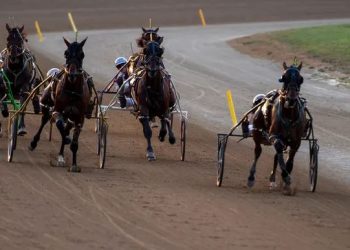 Delaware Fair hosts Buckeye Stallion Series sophomore showdowns
