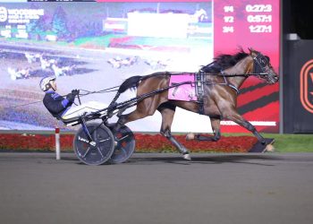 Denarius, Shimmering Hanover sweep $163,725 Champlain Stakes