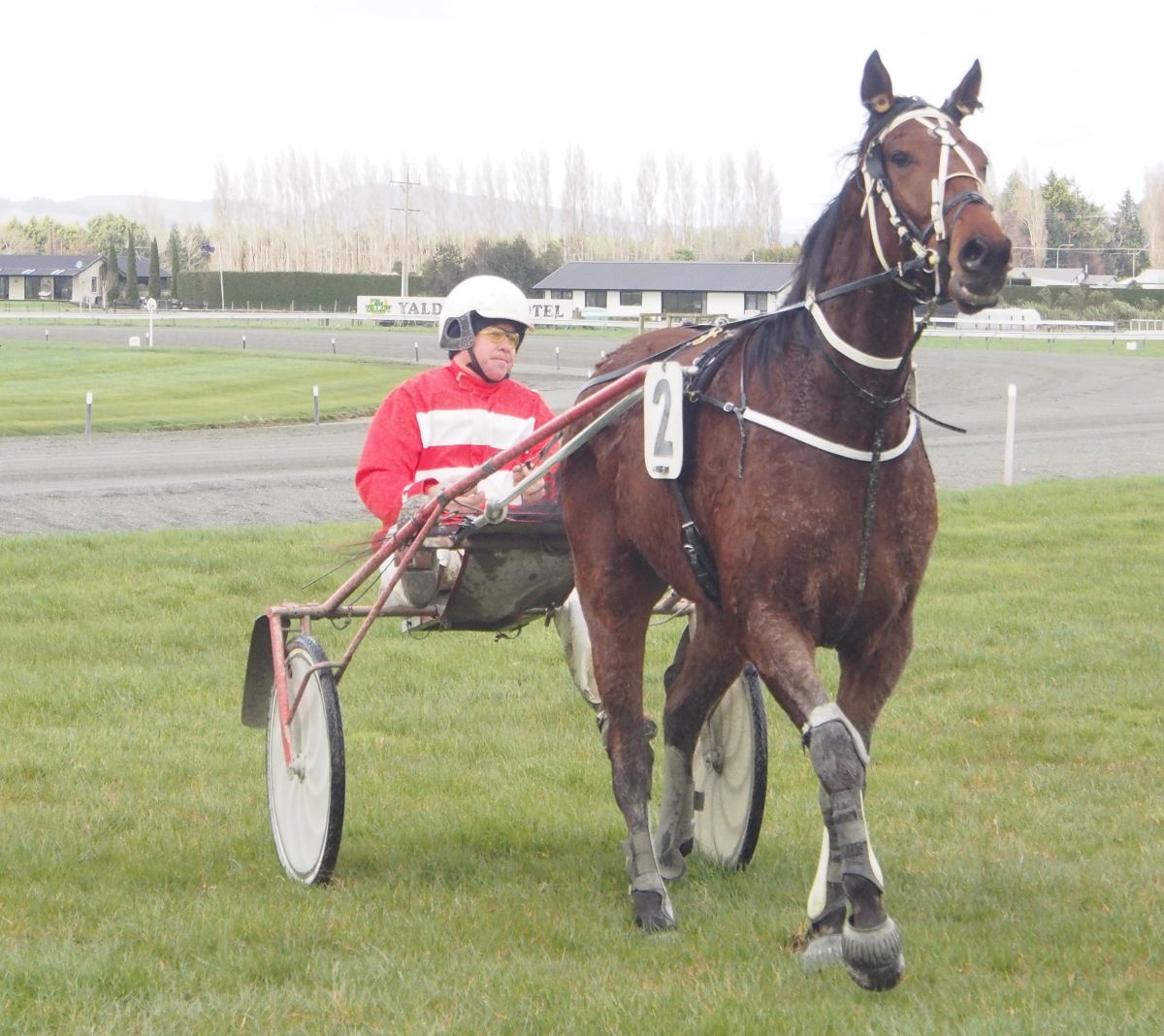 Black drives first winner in years but Don’t Tell Arty! 3