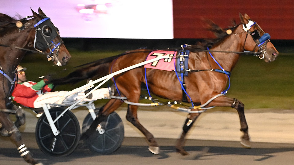 Sheer Terror steadfast winning feature 1