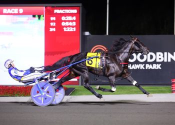 Emoticon Legacy smashes Canadian record in $615,000 Trotting Classic
