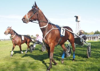 Which Williamson will win “The Gift”?