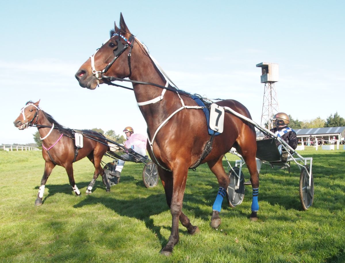 Which Williamson will win “The Gift”? 2