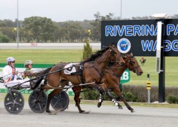 Eye Wish and Uptown Chance come up tops at Wagga