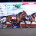 Mohawk fillies deliver drama in $158K Simcoe and $164K Champlain
