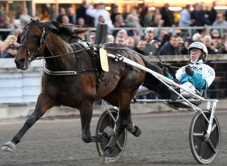 Francesco Zet takes STL Gold at Aby 1