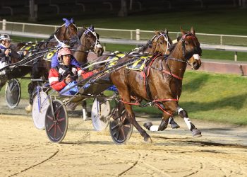 Stars shine at Addington